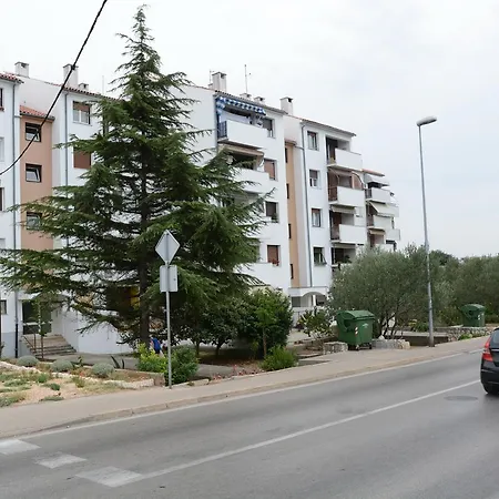 Divota Ζαντάρ